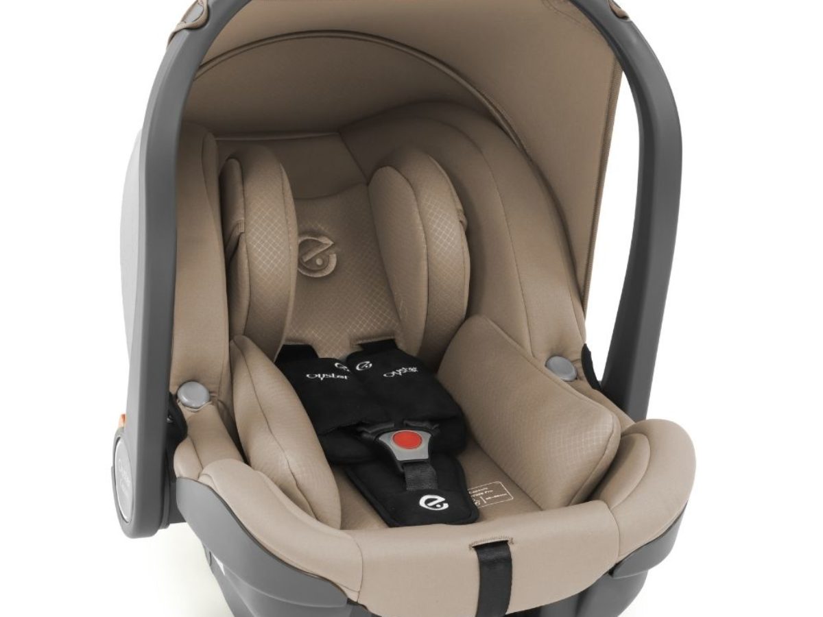 Oyster baby car seat best sale